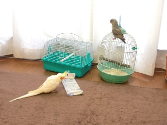 イメージ 12