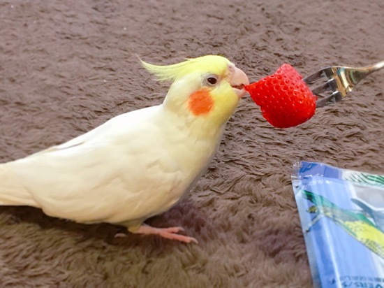 イメージ 20