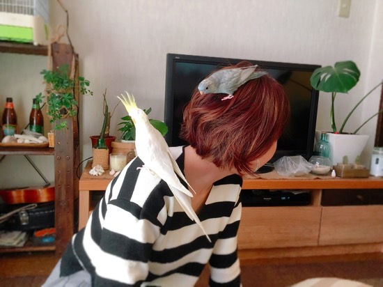 イメージ 5