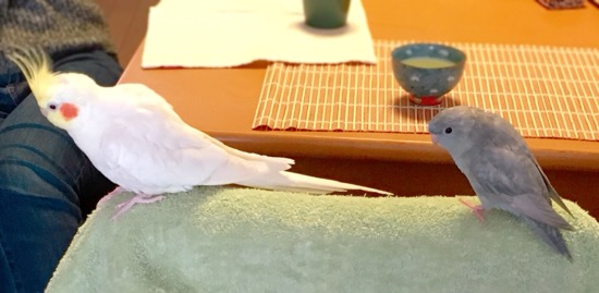 イメージ 8