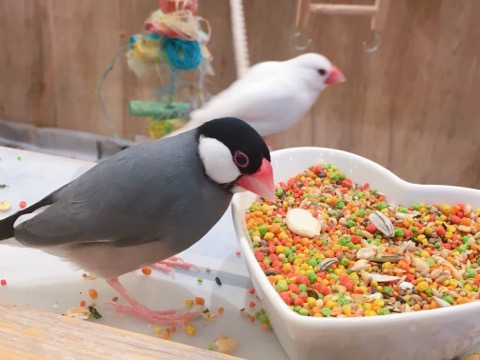イメージ 2