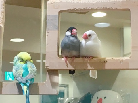 イメージ 3