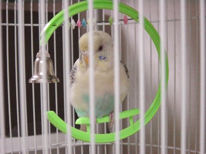 イメージ 3