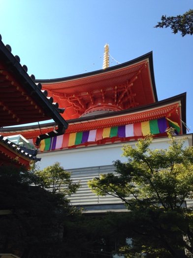 イメージ 11