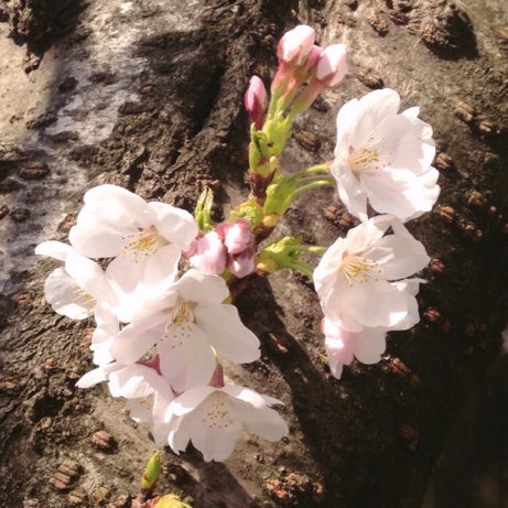 イメージ 2