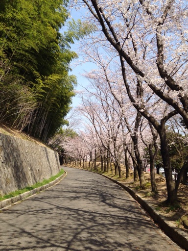 イメージ 7