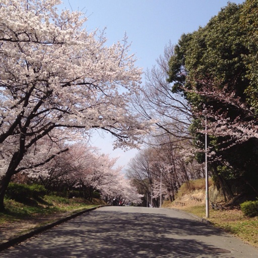 イメージ 10