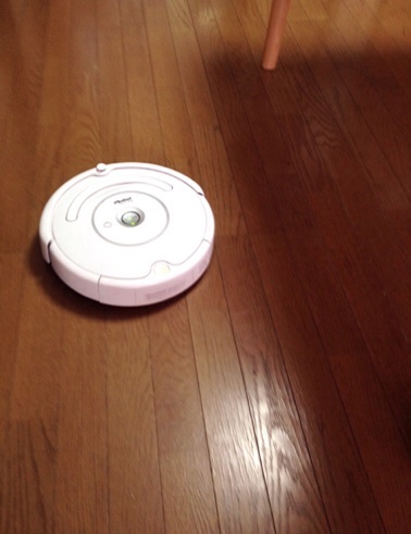 イメージ 5