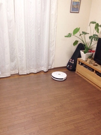 イメージ 6