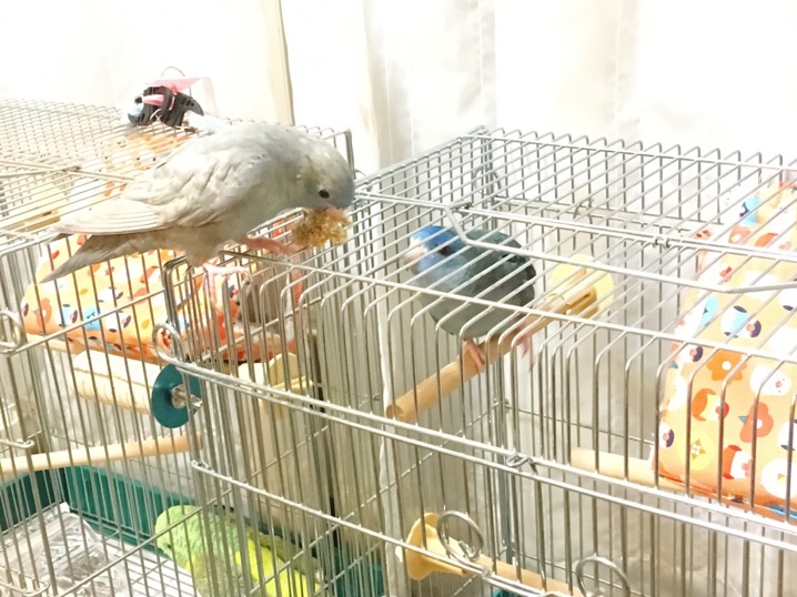 イメージ 10
