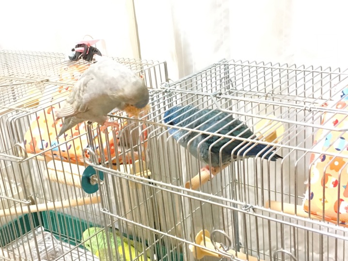 イメージ 11