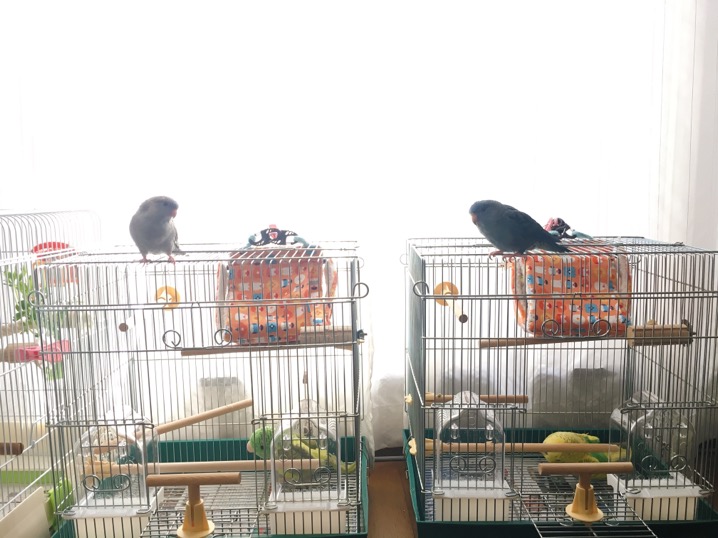 イメージ 5