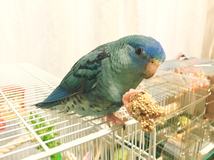 イメージ 9