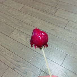 イメージ 9