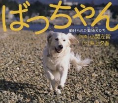 イメージ 1
