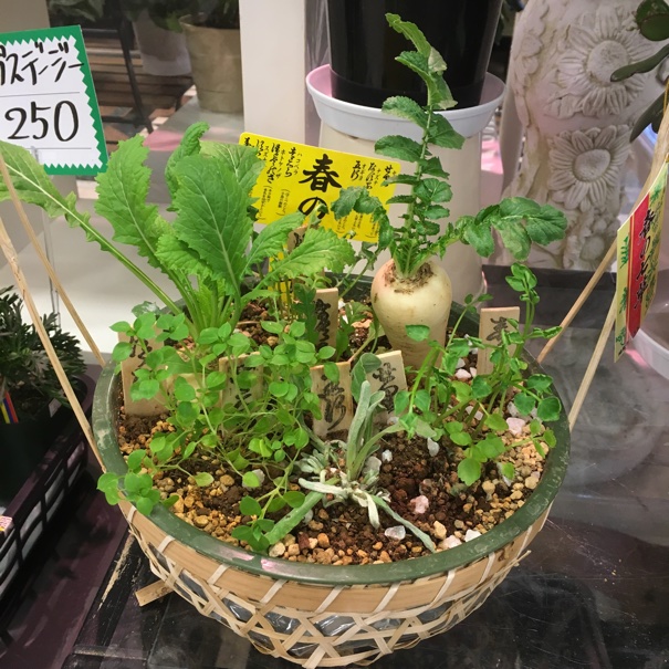 イメージ 4