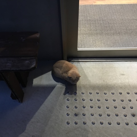イメージ 9