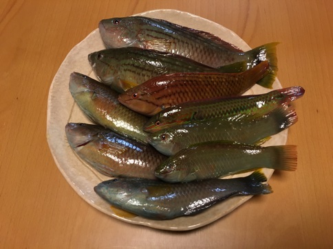 イメージ 9