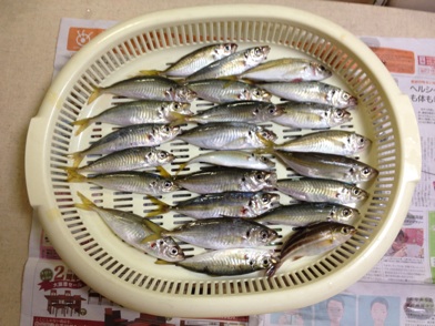 イメージ 16