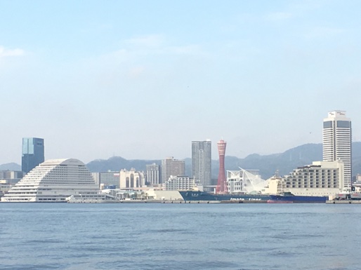 イメージ 5