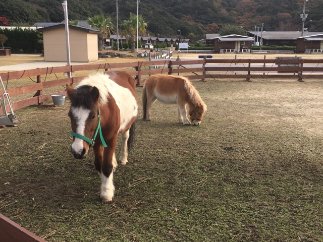 イメージ 7