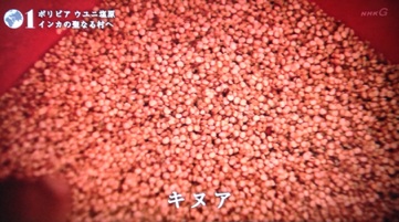 イメージ 13