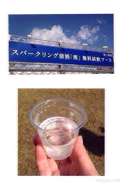 イメージ 13