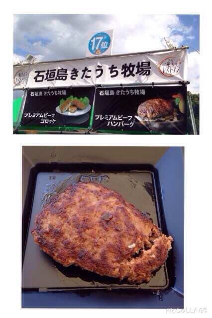 イメージ 14