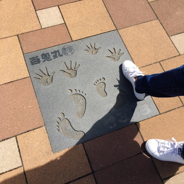 イメージ 5