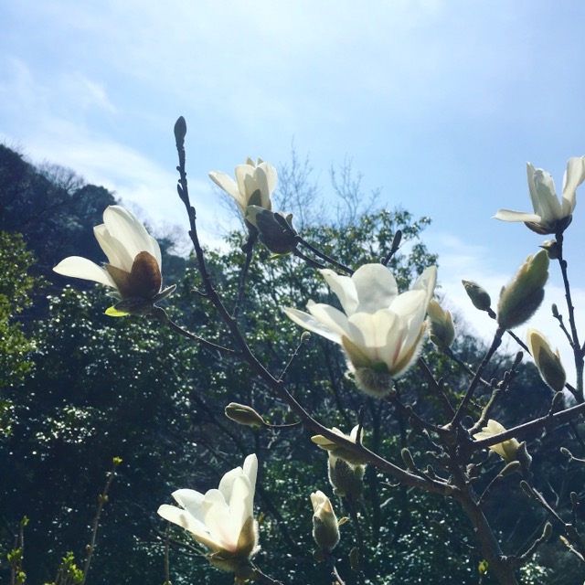 イメージ 9