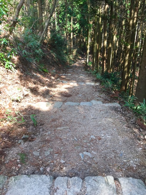 イメージ 10
