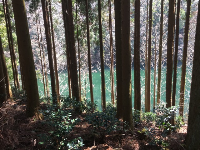 イメージ 11