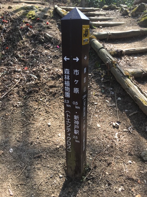 イメージ 2