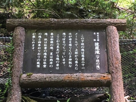 イメージ 6
