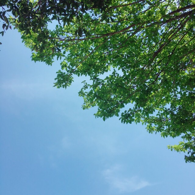 イメージ 19