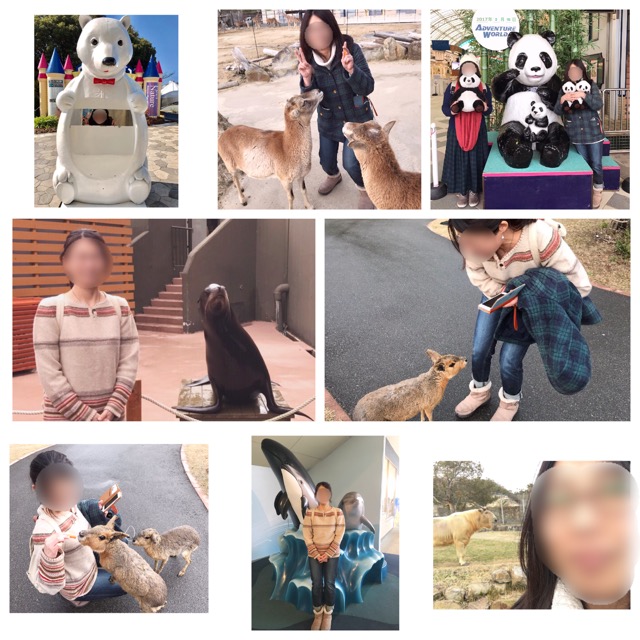イメージ 3