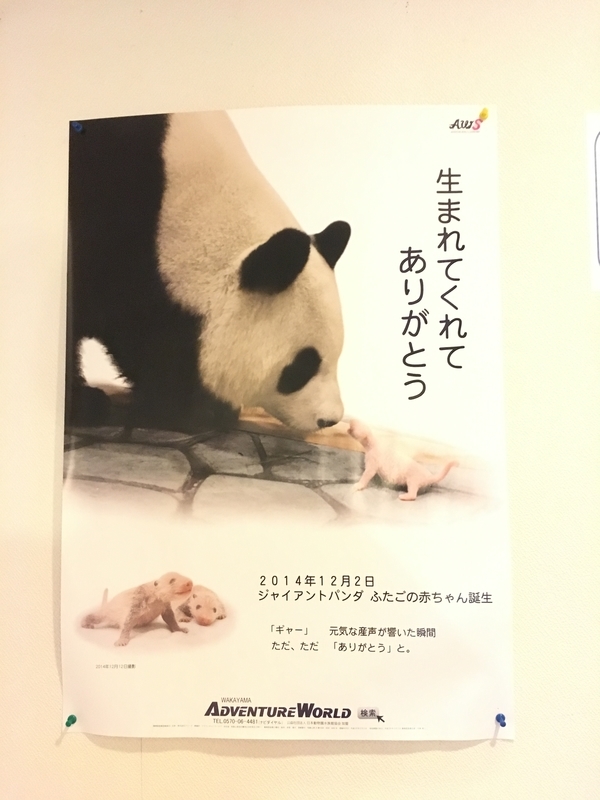 イメージ 4