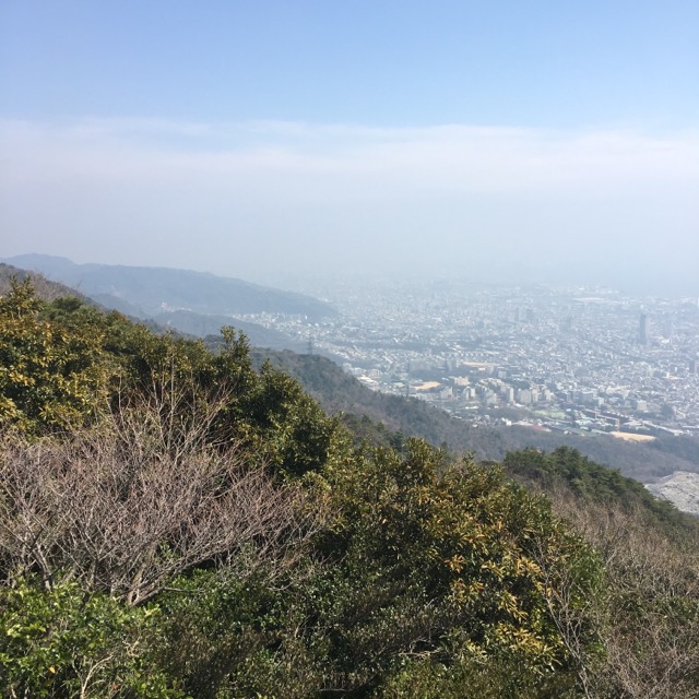 イメージ 18