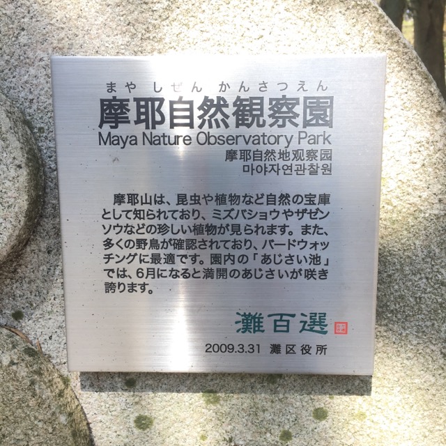 イメージ 19