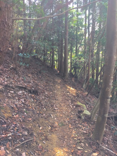 イメージ 10