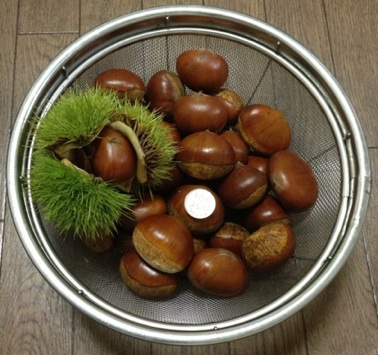 イメージ 9