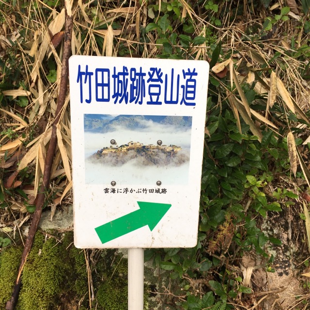 イメージ 14