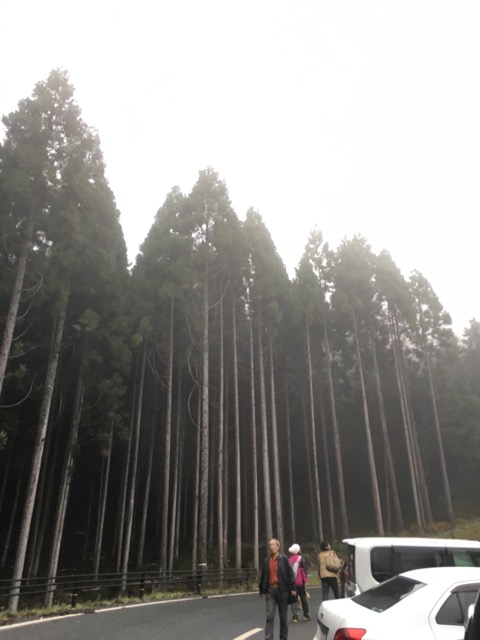 イメージ 5