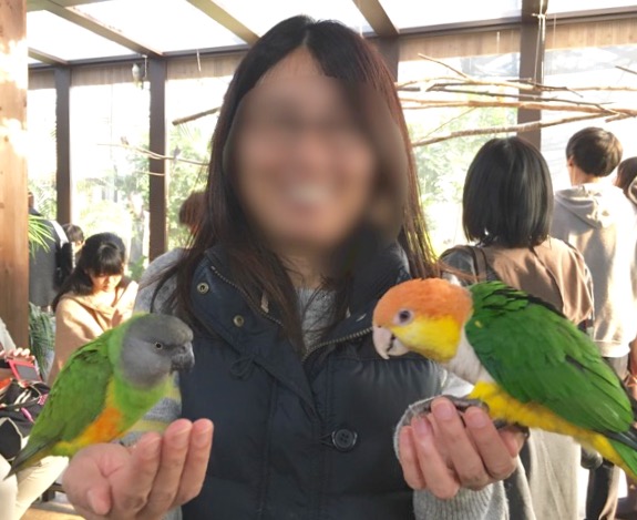 イメージ 15