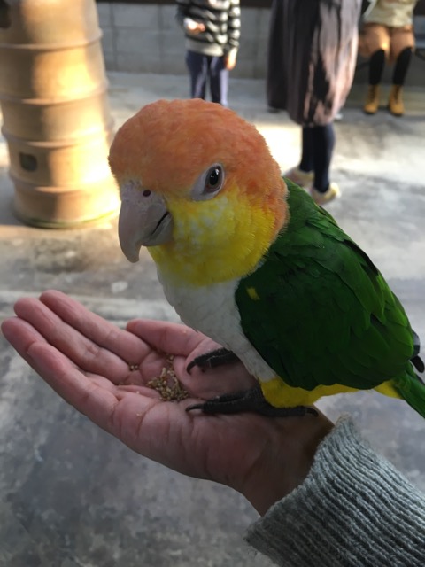 イメージ 6