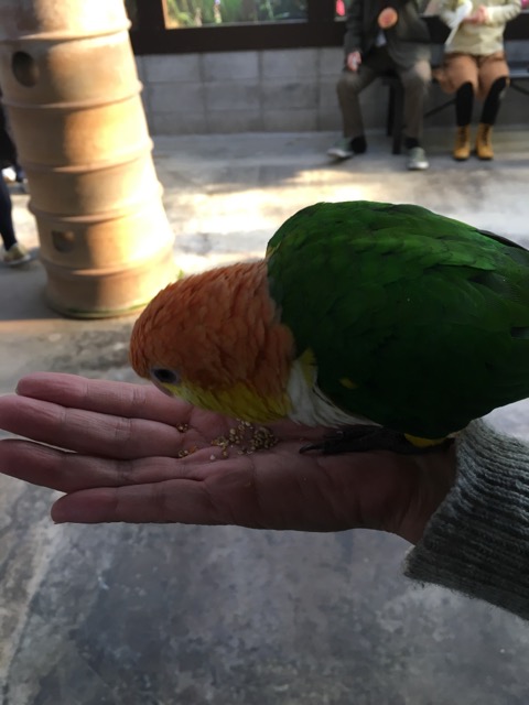 イメージ 7