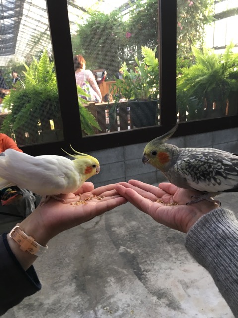イメージ 9