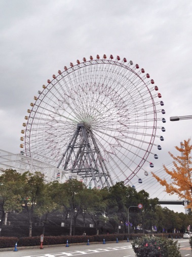 イメージ 5