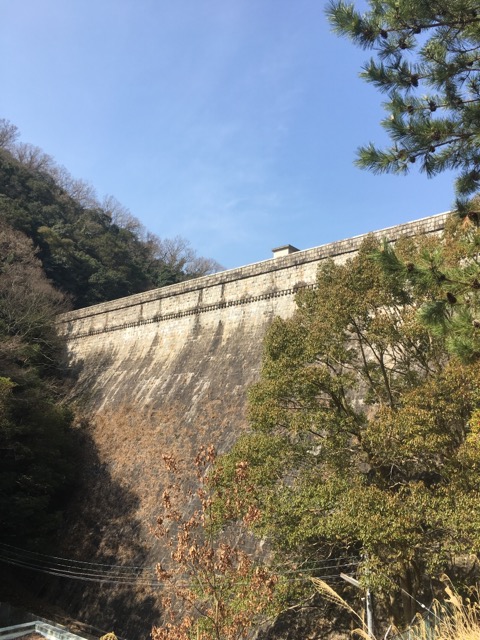イメージ 11