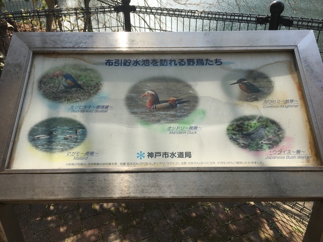 イメージ 12